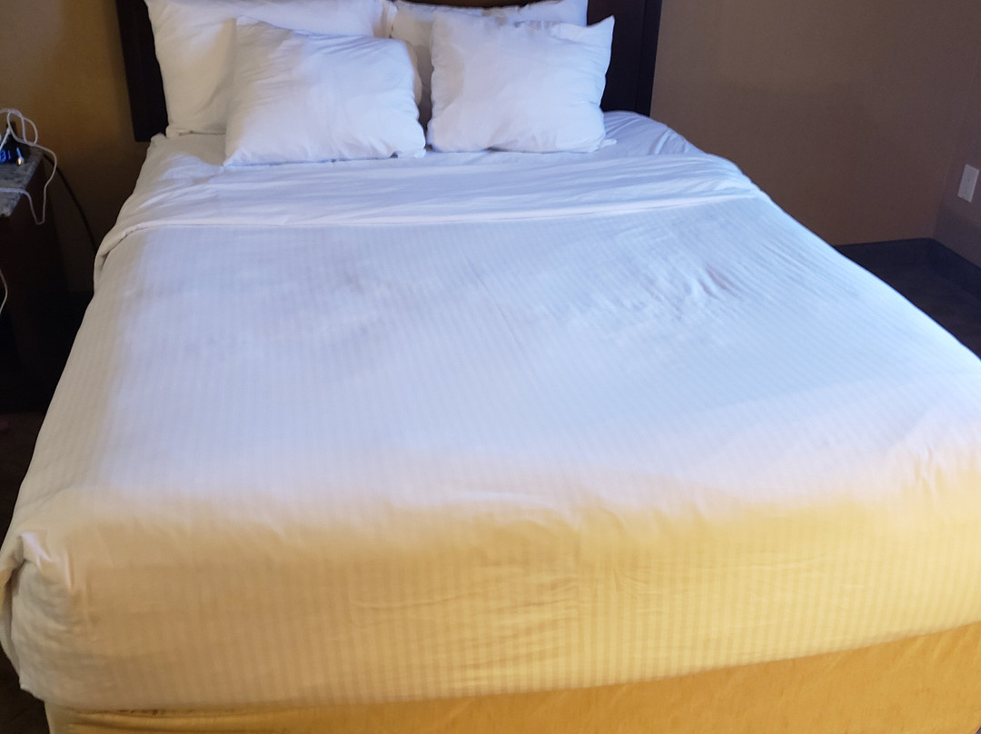 Comfort Inn & Suites主图