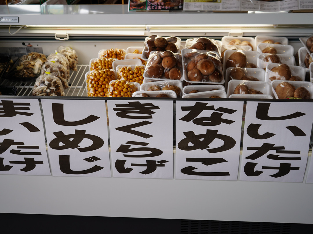 Yunotani Michi-no-Eki Miyuki no Sato-鱼沼市必去景点