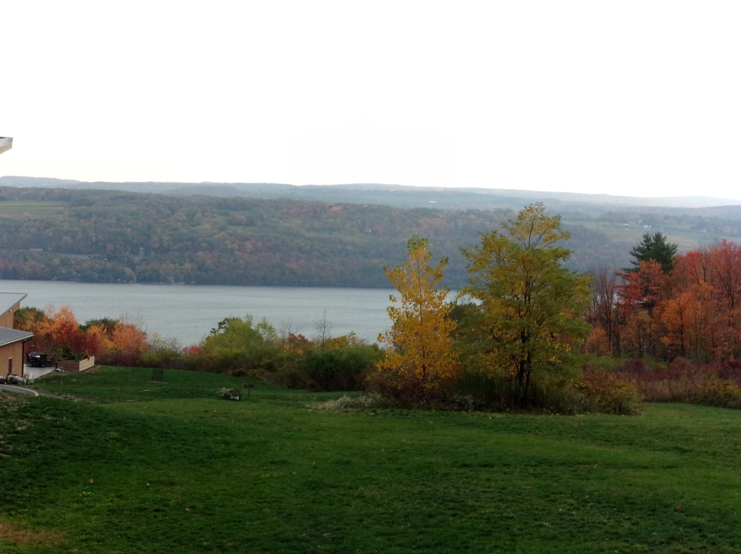 Lakeside Resort主图