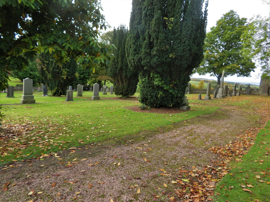 Saline Cemetery-Saline必去景点