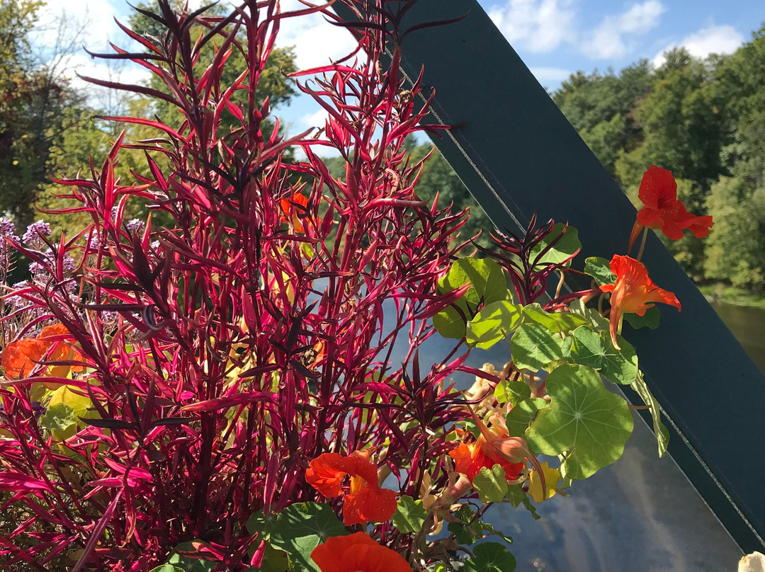 Old Drake Hill Flower Bridge-锡姆斯伯里必去景点
