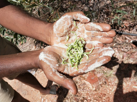 Kimberley Cultural Adventures-布鲁姆必去景点