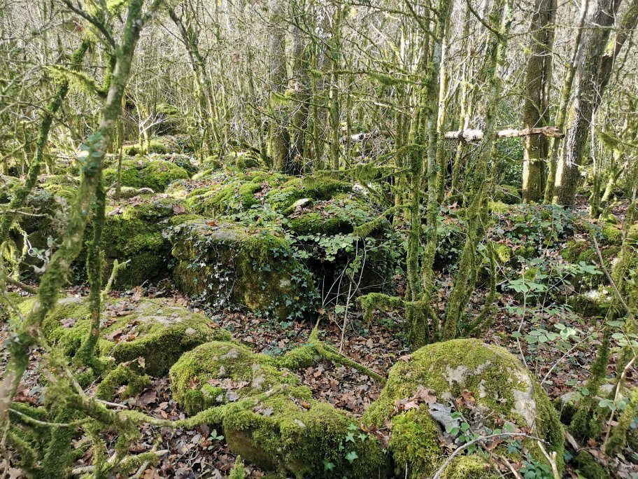 Le Labyrinthe Vert Nebias-Nebias必去景点