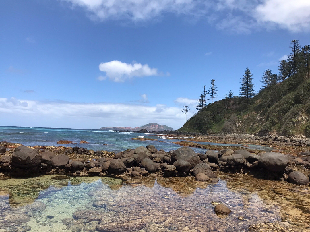 Cresswell Bay景点图片