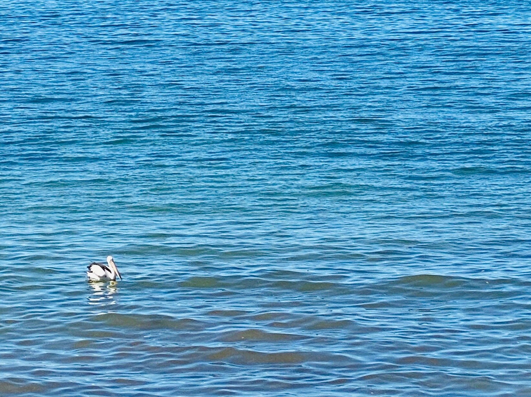 基亚马露台摩托旅店主图