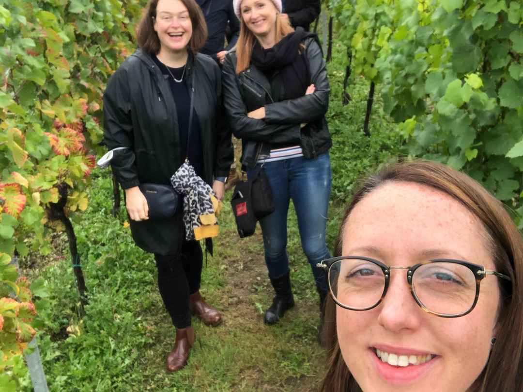 Squerryes Winery - Tours and Tastings-Westerham必去景点