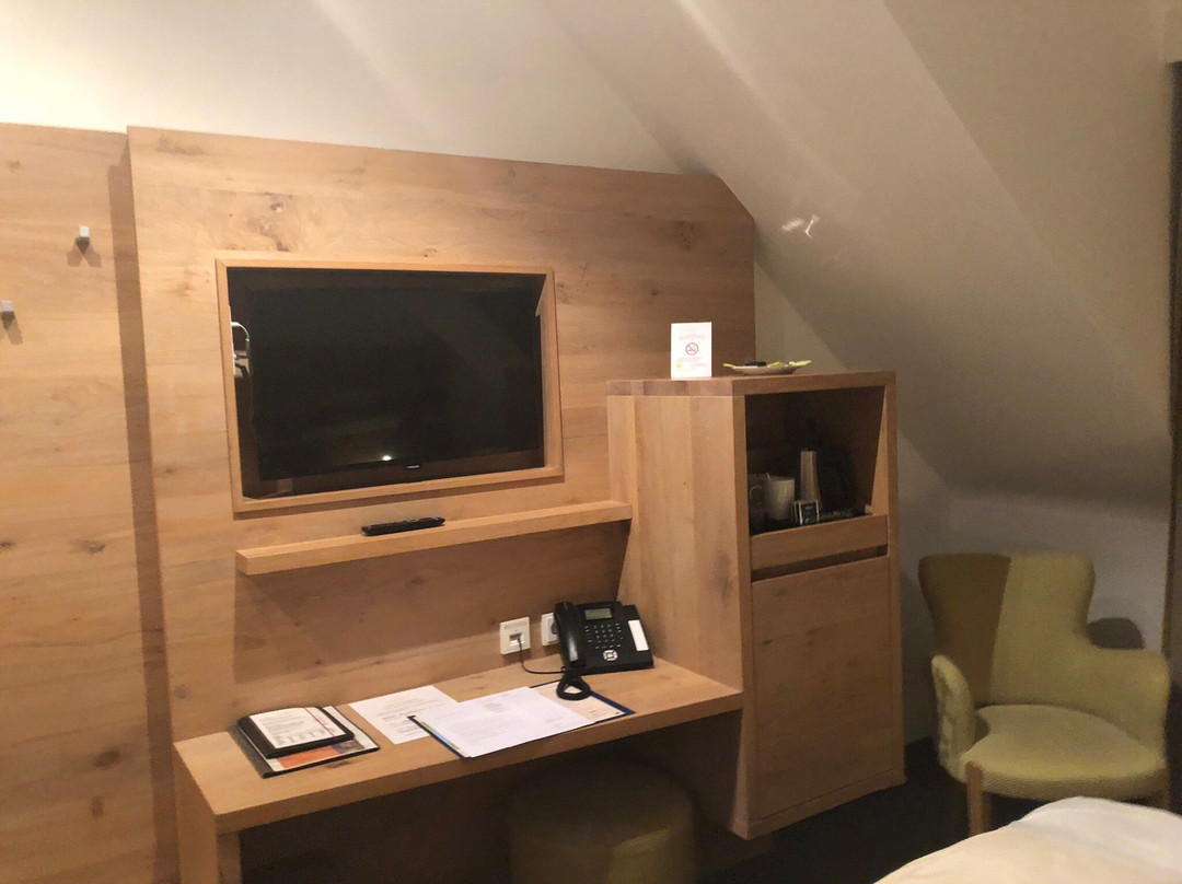 Villa Benz - Hotel Garni主图