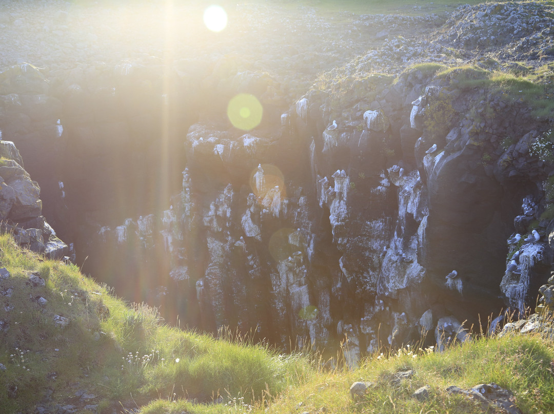 Arnarstapi-Hellnar Hike-Arnarstapi必去景点