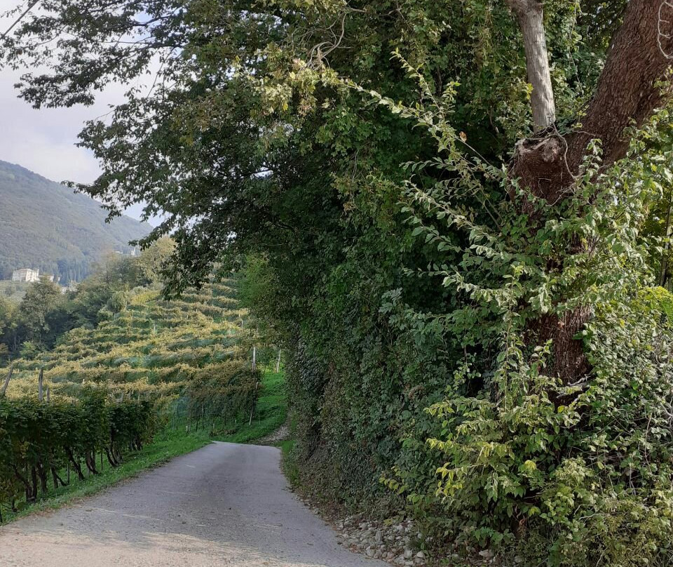Anello del Prosecco Superiore-Valdobbiadene必去景点