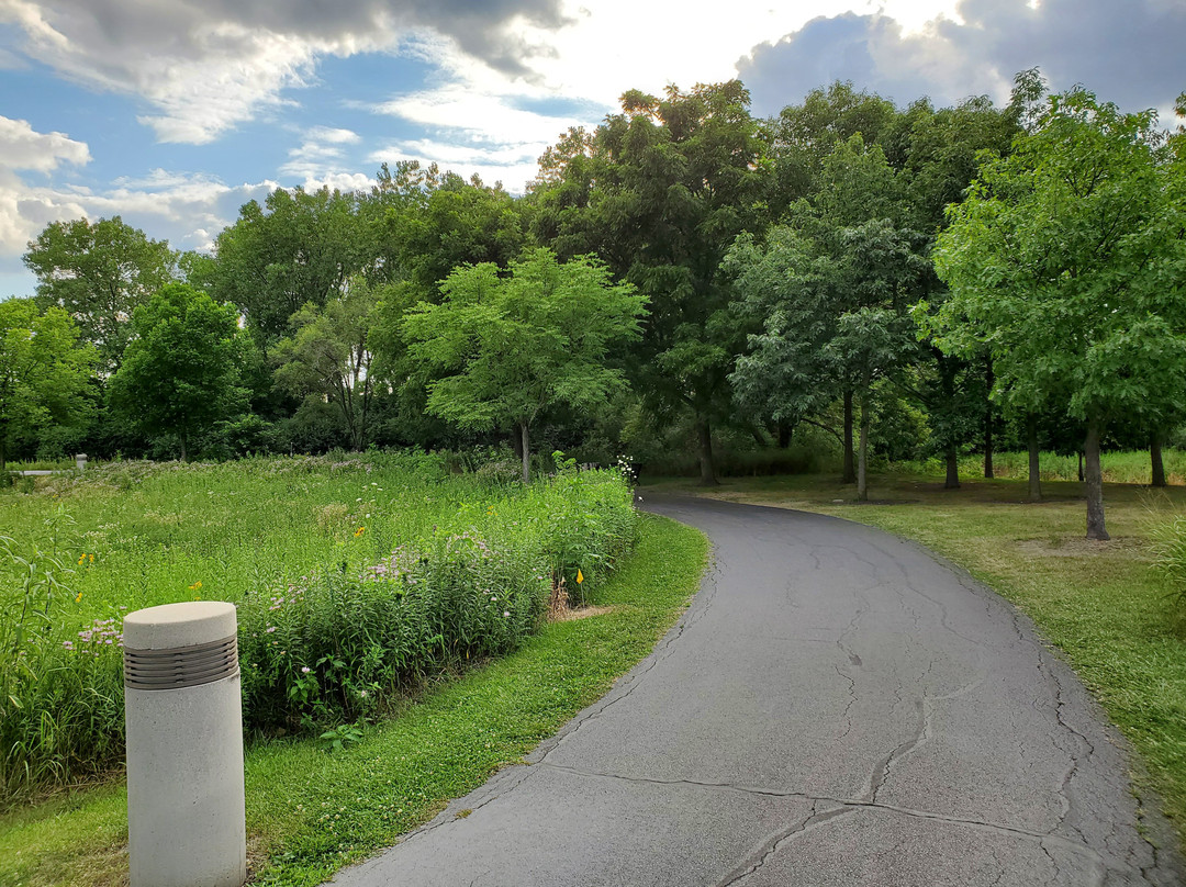 Techny Prairie Park and Fields景点图片