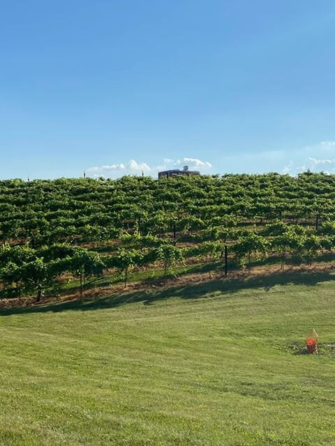 Buchanan House Winery-Tipton必去景点