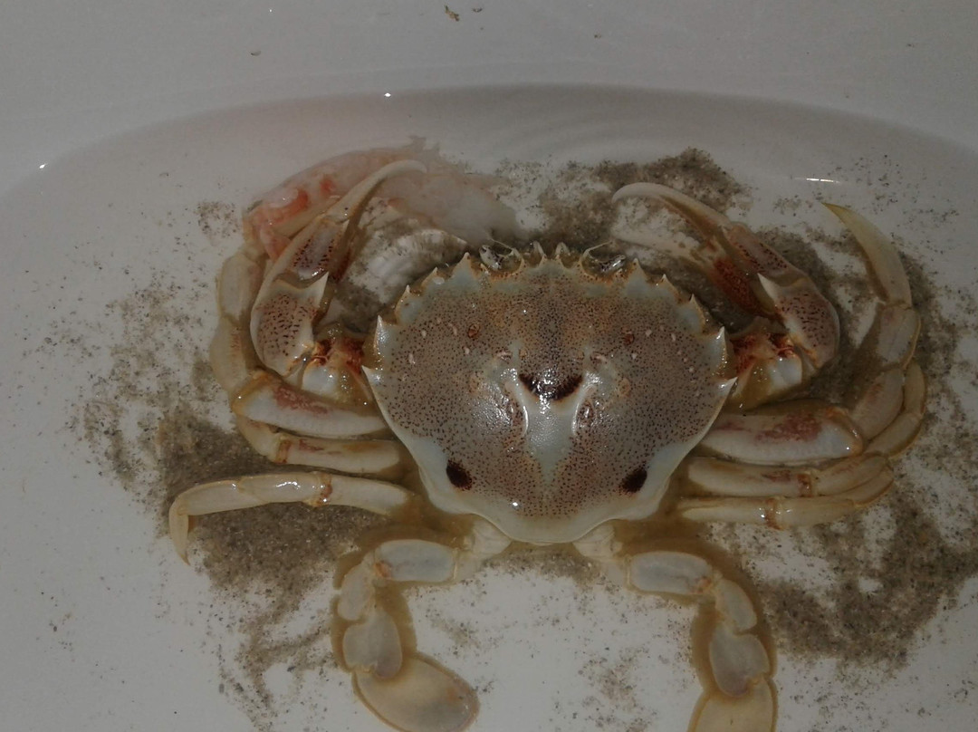 Eco Afrika Tours-Goukamma必去景点