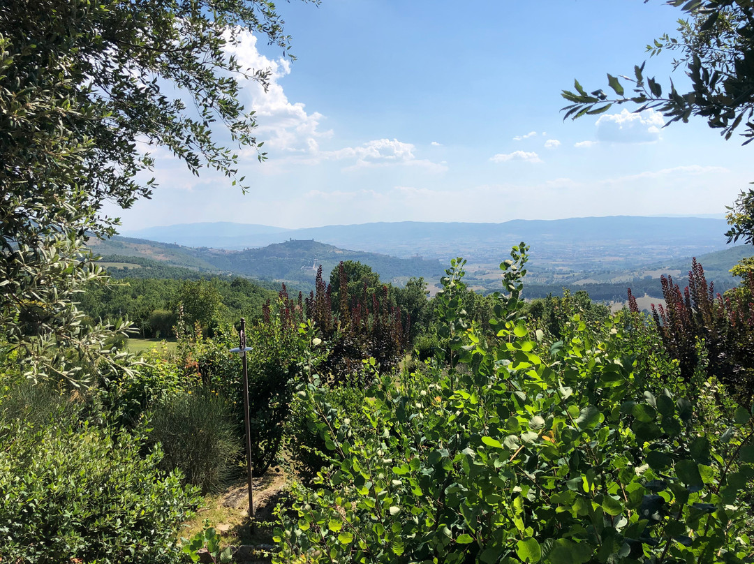 Castello Di Petrata主图