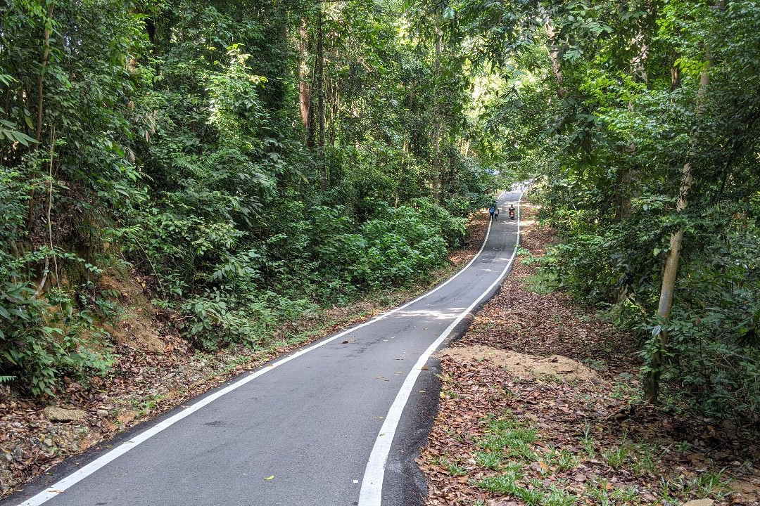Bukit Pelindung Recreational Forest景点图片