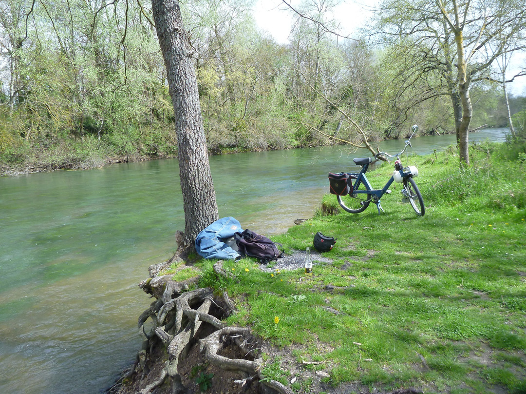 La Loire À Vélosolex景点图片