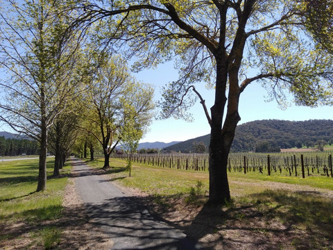 Bright Electric Bikes-布赖特必去景点