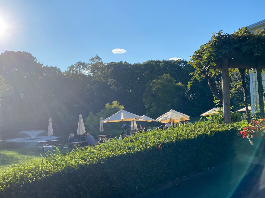 Pugliese Vineyards-Cutchogue必去景点