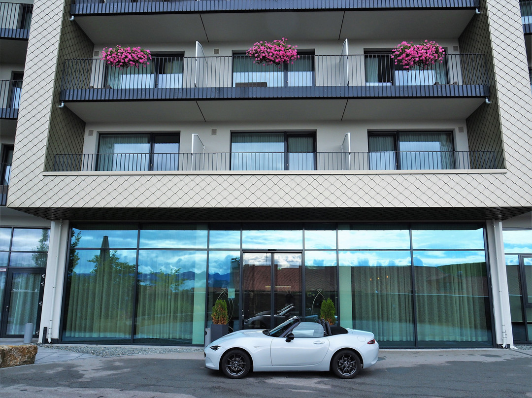 Hotel Edita主图