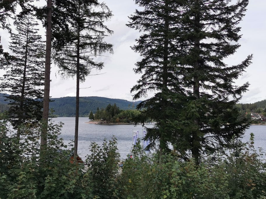 Schluchsee Lake景点图片