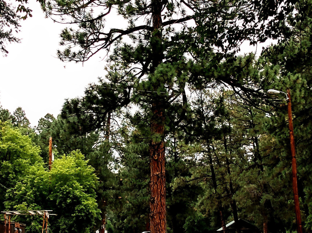 The Pony Ring-鲁伊多索必去景点