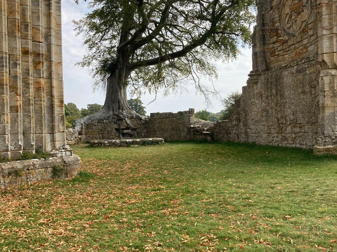 Bayham Old Abbey景点图片