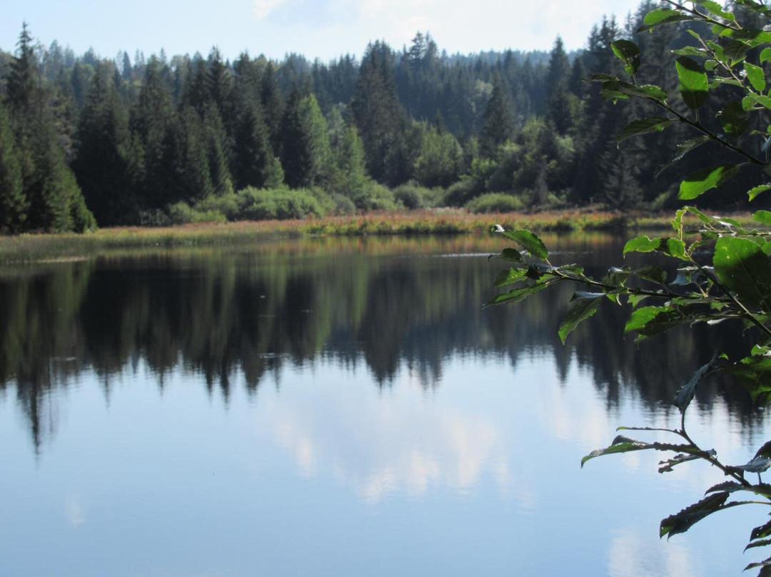 Etang des Royes-Saignelégier必去景点