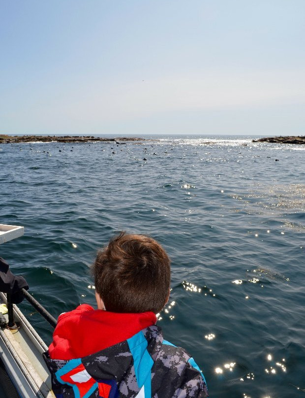 Acadia Fishing Tours景点图片