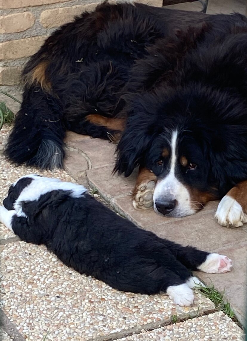 Bio Agriturismo Olivastrella-浴室