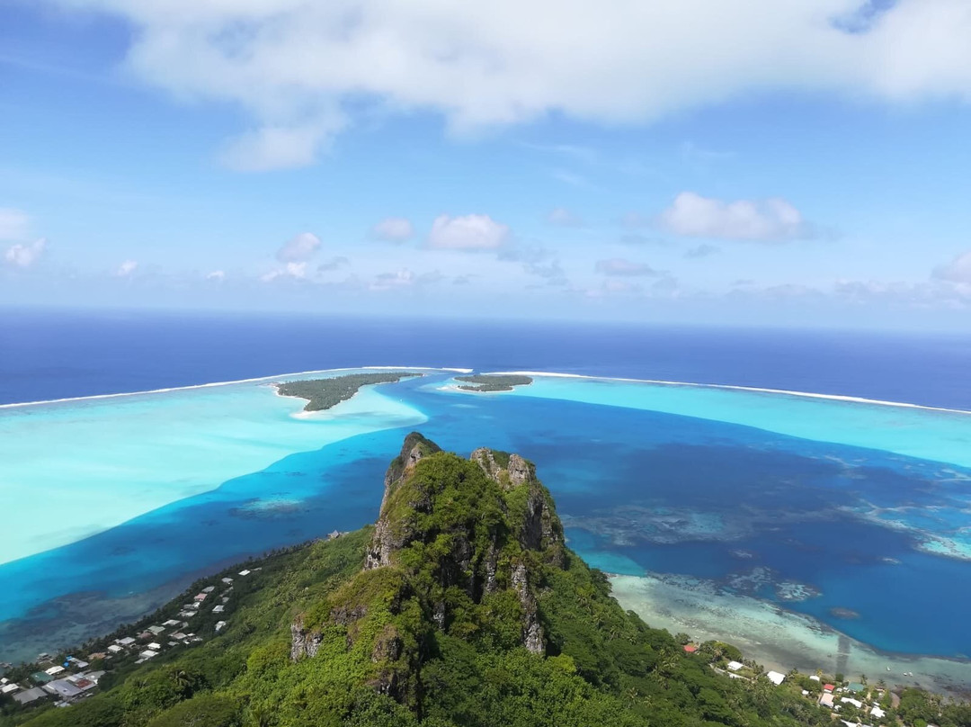 Pension Taputea主图