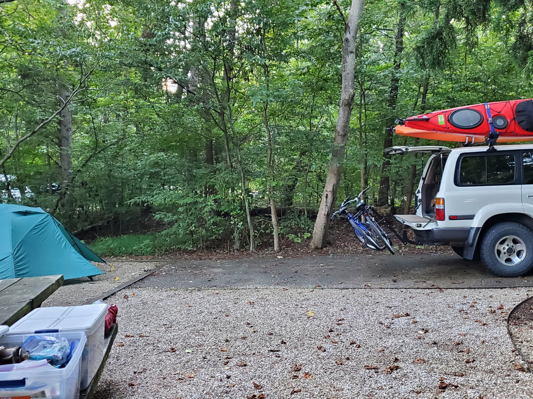 Salt Lick旅游攻略图片