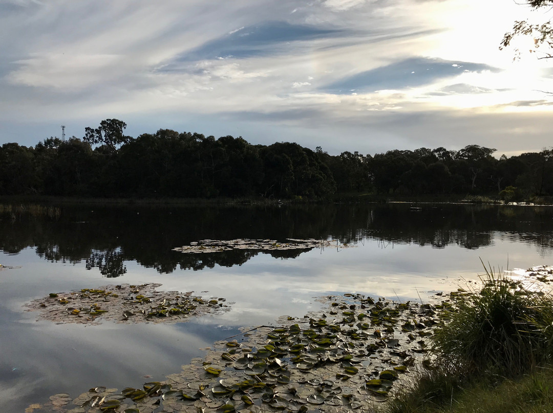 Traralgon Railway Reservoir Conservation Reserve-特拉拉尔根必去景点