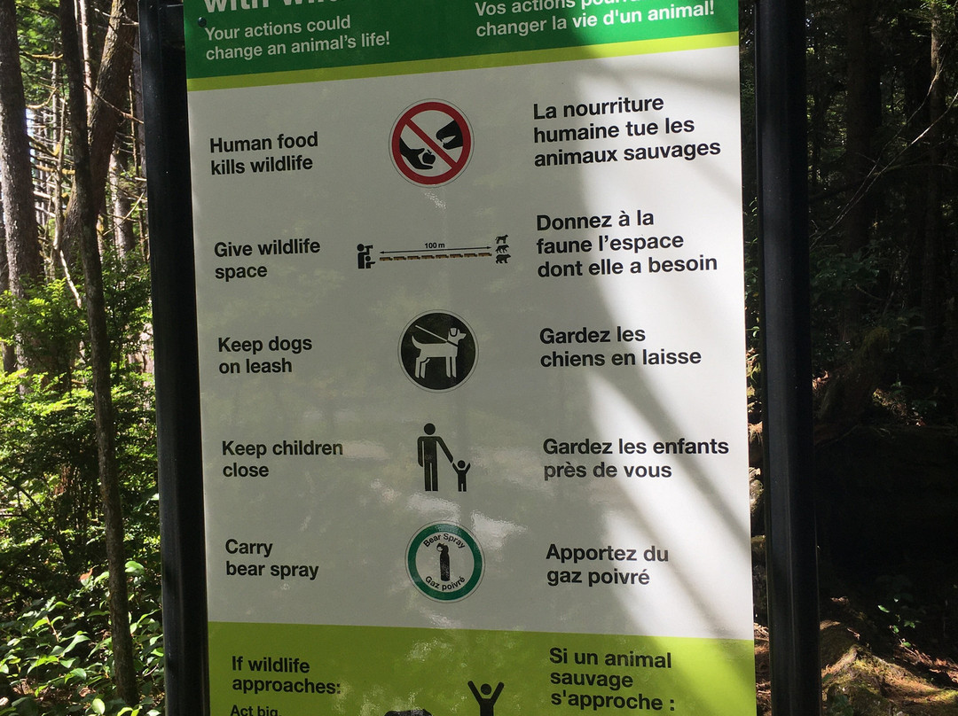 Rainforest Trail景点图片
