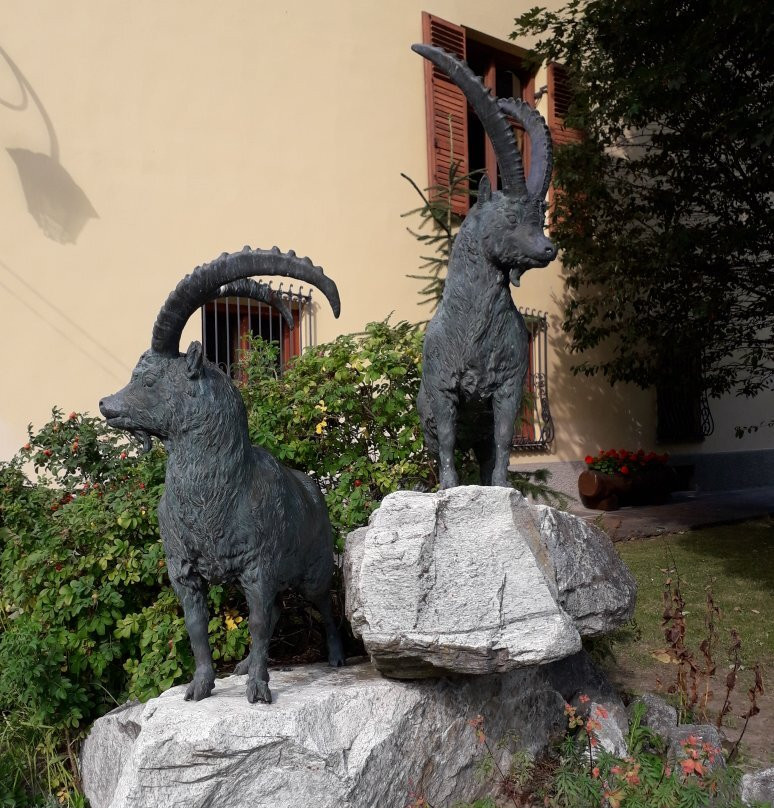 Alpenfauna Museum "Beck Peccoz" - Museo regionale della fauna alpina景点图片