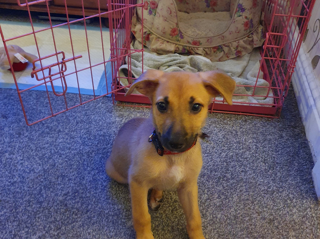 Old Grey Mare Hotel主图