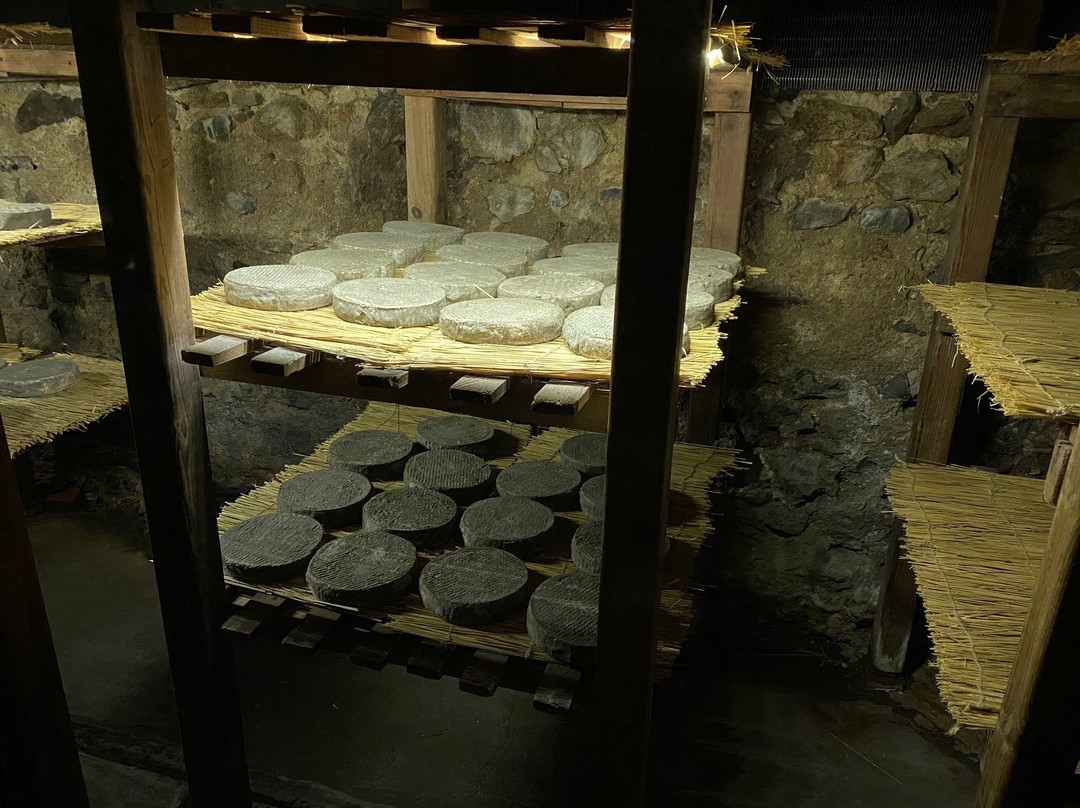 La Maison du Fromage景点图片