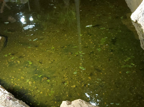 Lava Links Golf Club-D'Iberville必去景点