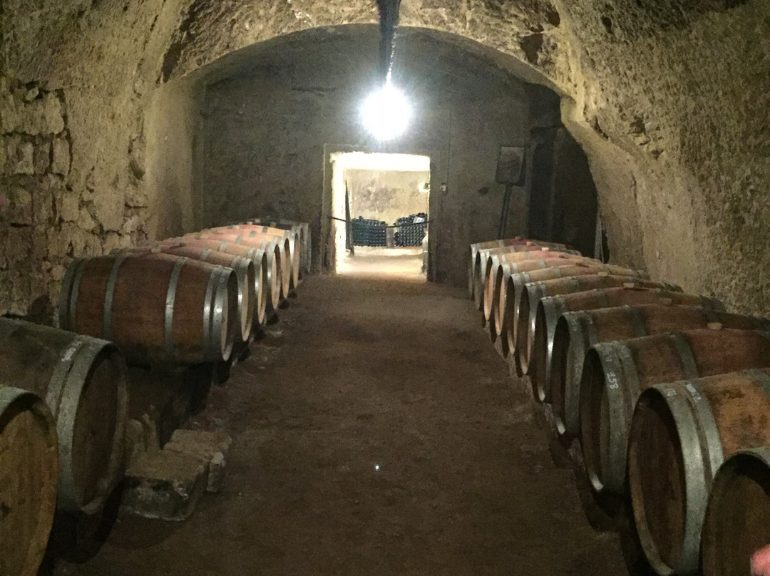 Domaine de Nerleux景点图片
