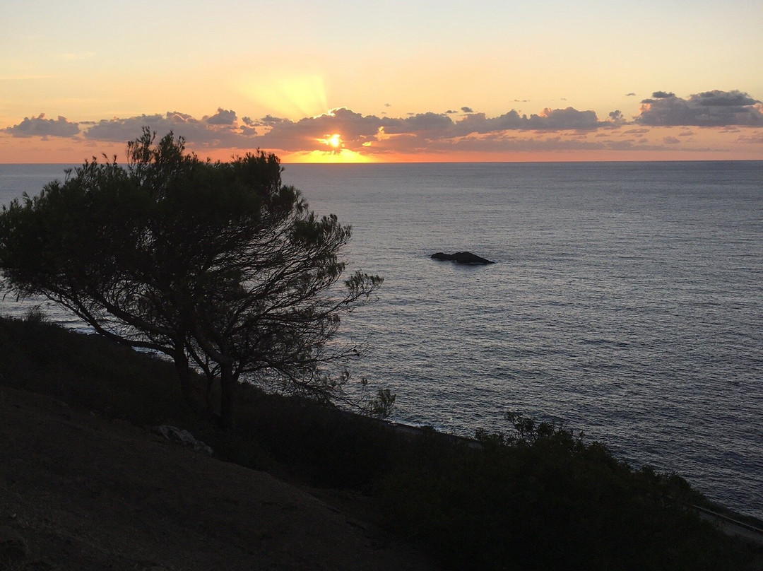 Escursioni Ciprea Ustica-Ustica必去景点