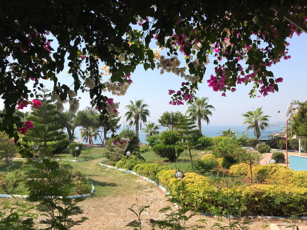 Grand Ada Hotel主图