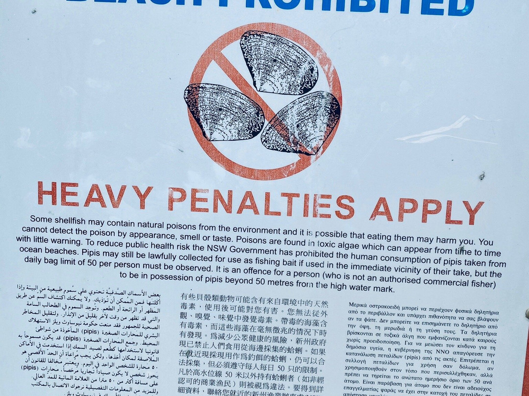 Seven Mile Beach National Park-Shoalhaven必去景点