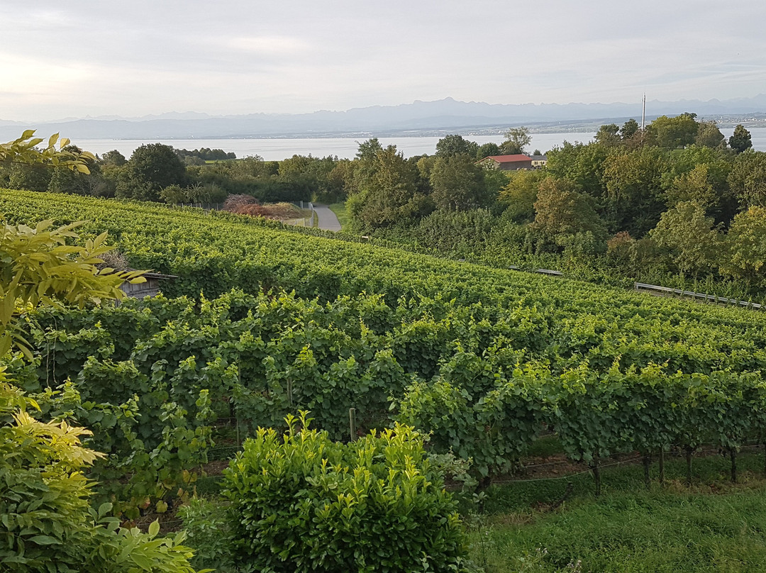 Pension Haus am Trielberg主图