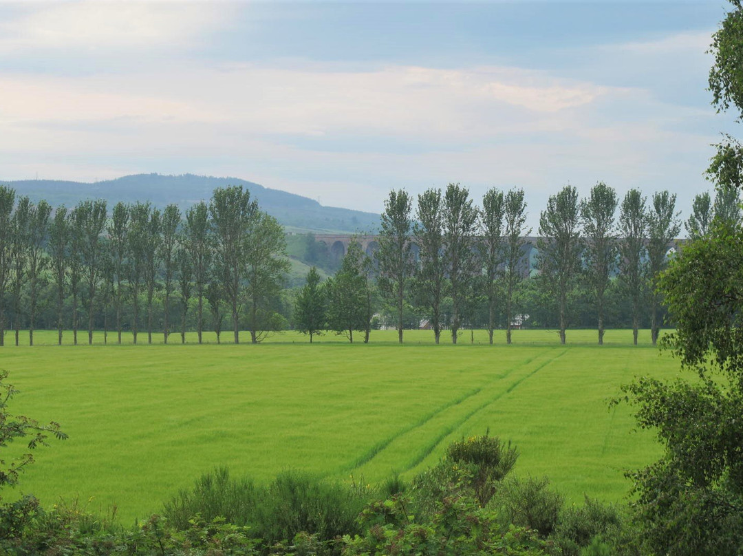 Heather Guest Rooms主图