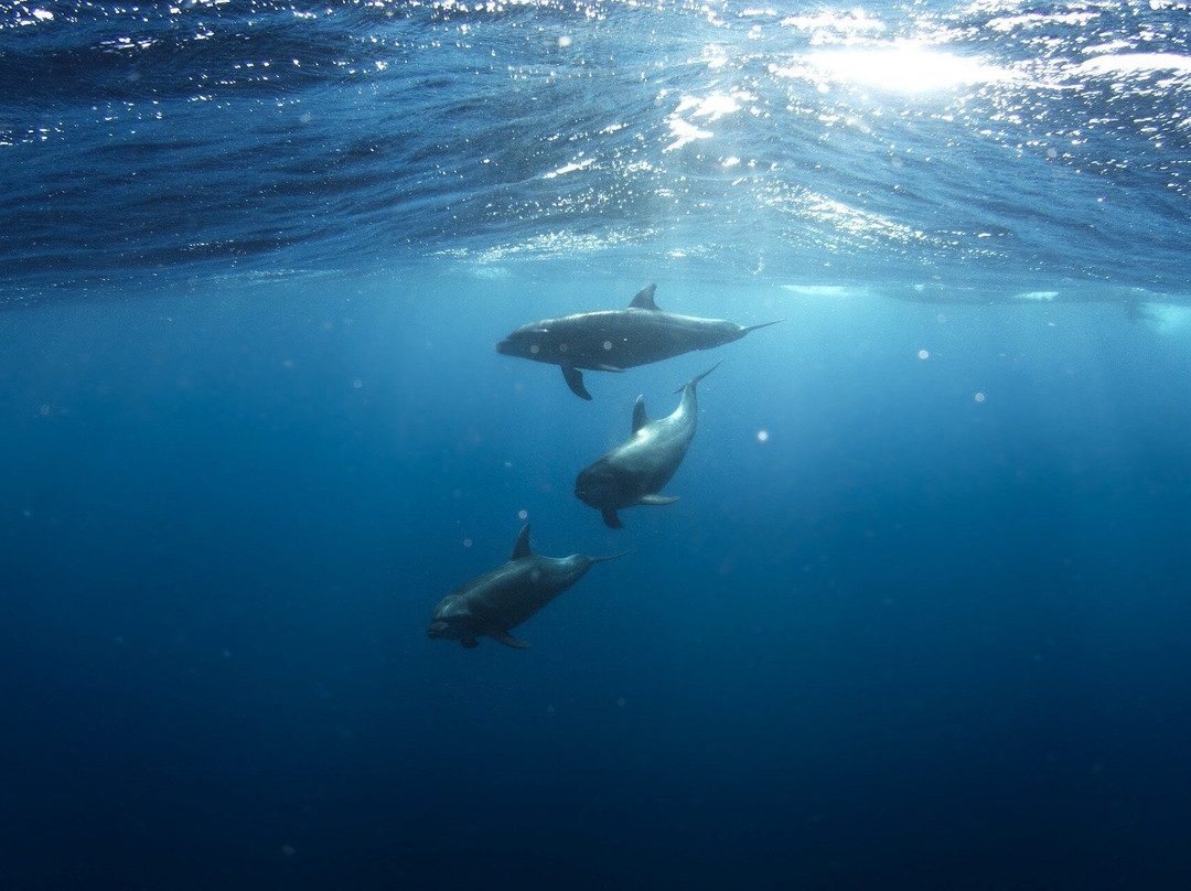 P3S-圣塞巴斯蒂昂必去景点