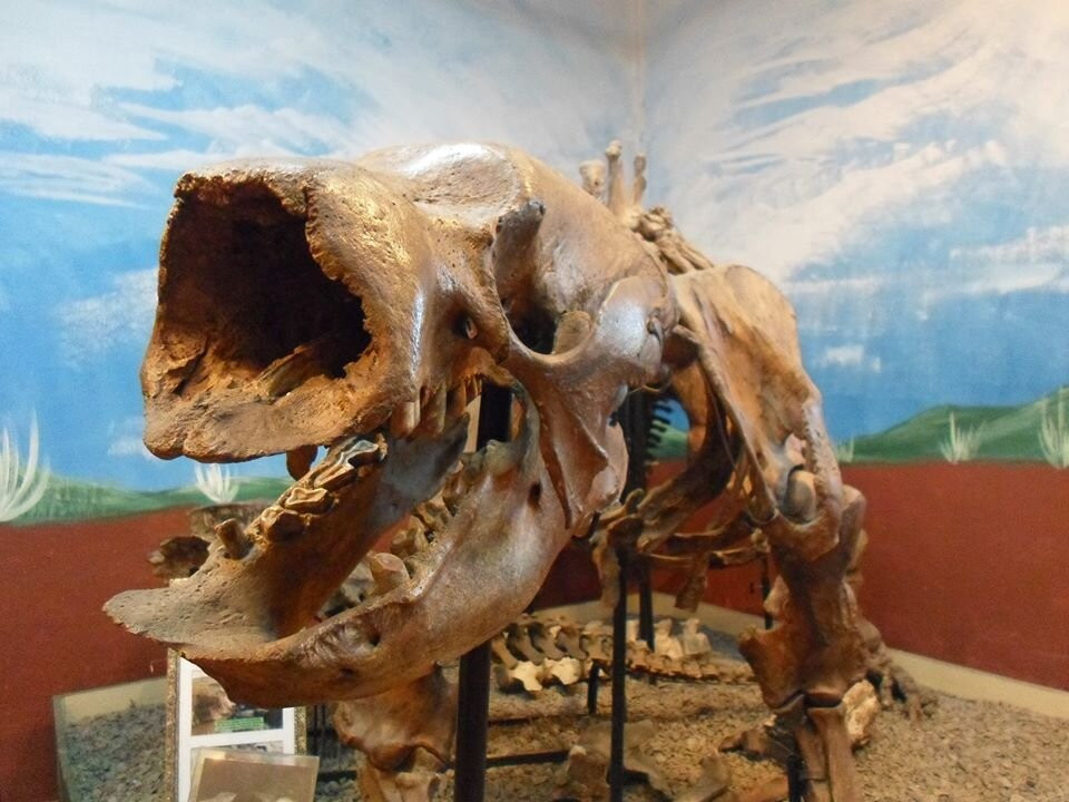 Museo Histórico La Campana景点图片