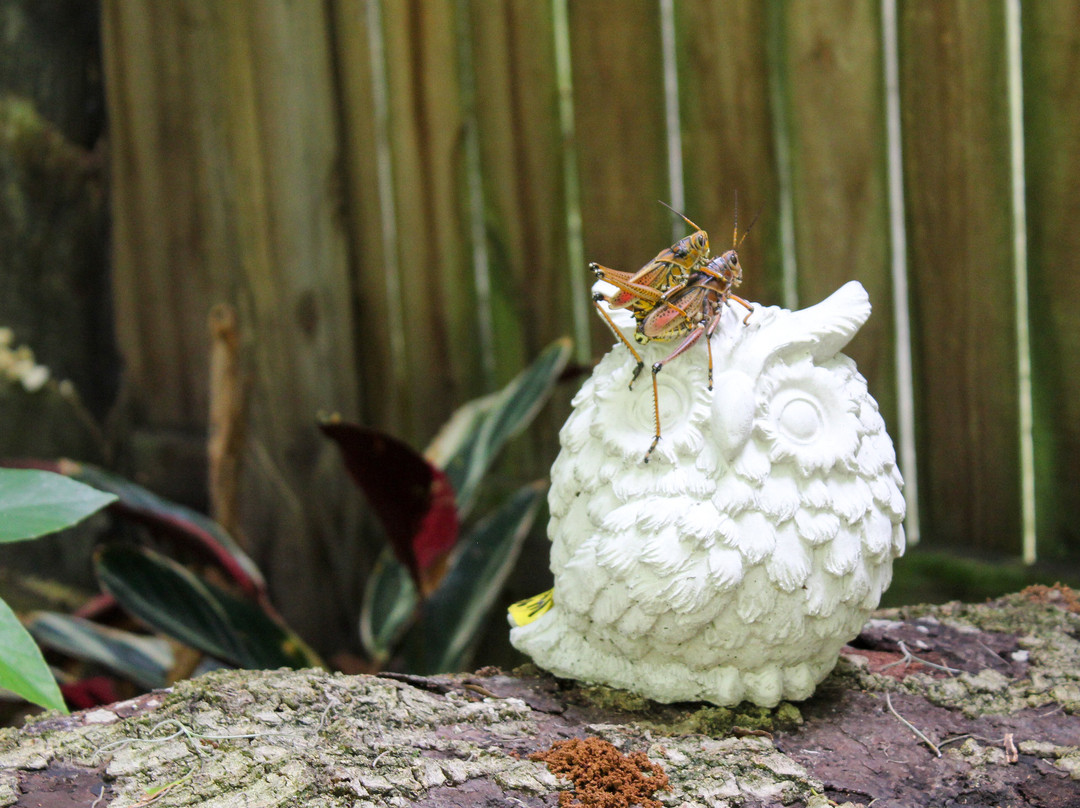 Metals and Nature-普兰特城必去景点