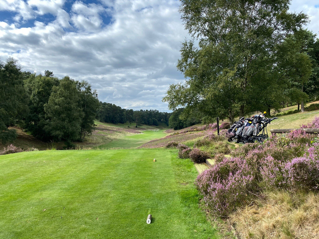 Hindhead Golf Club景点图片
