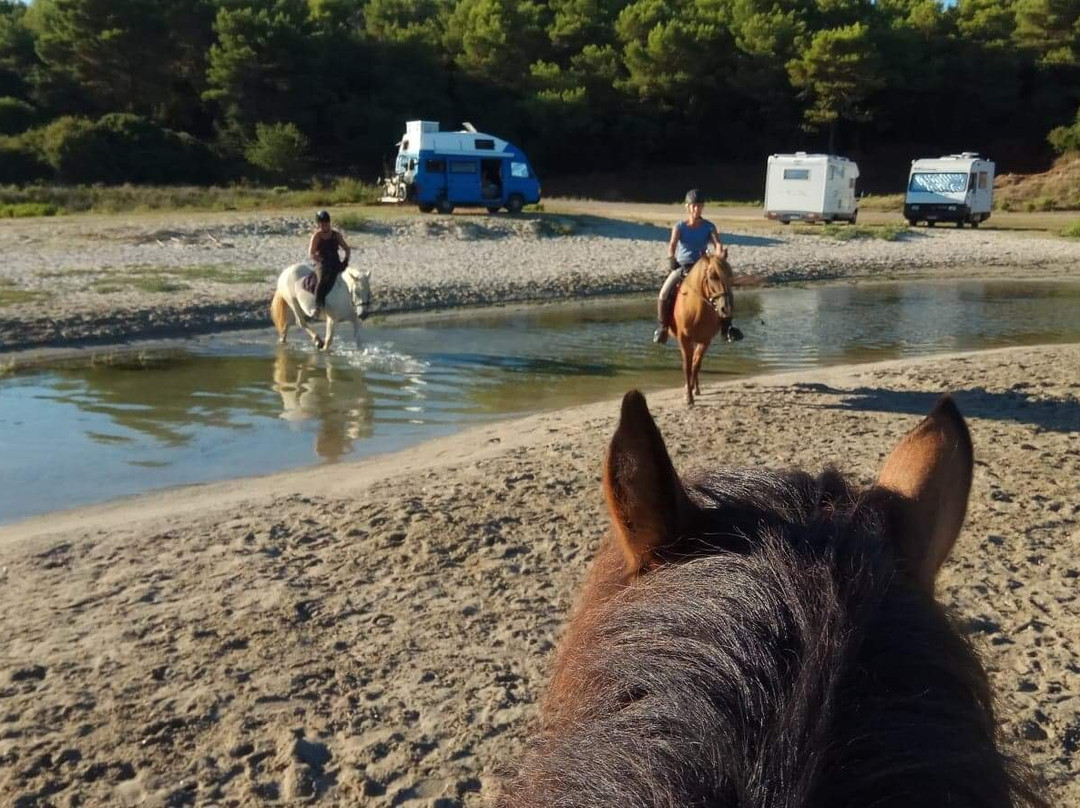 Horse Riding Alonaki-Valanidorrachi必去景点