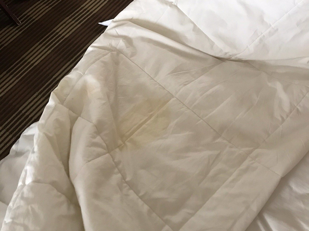 科德角品质酒店主图