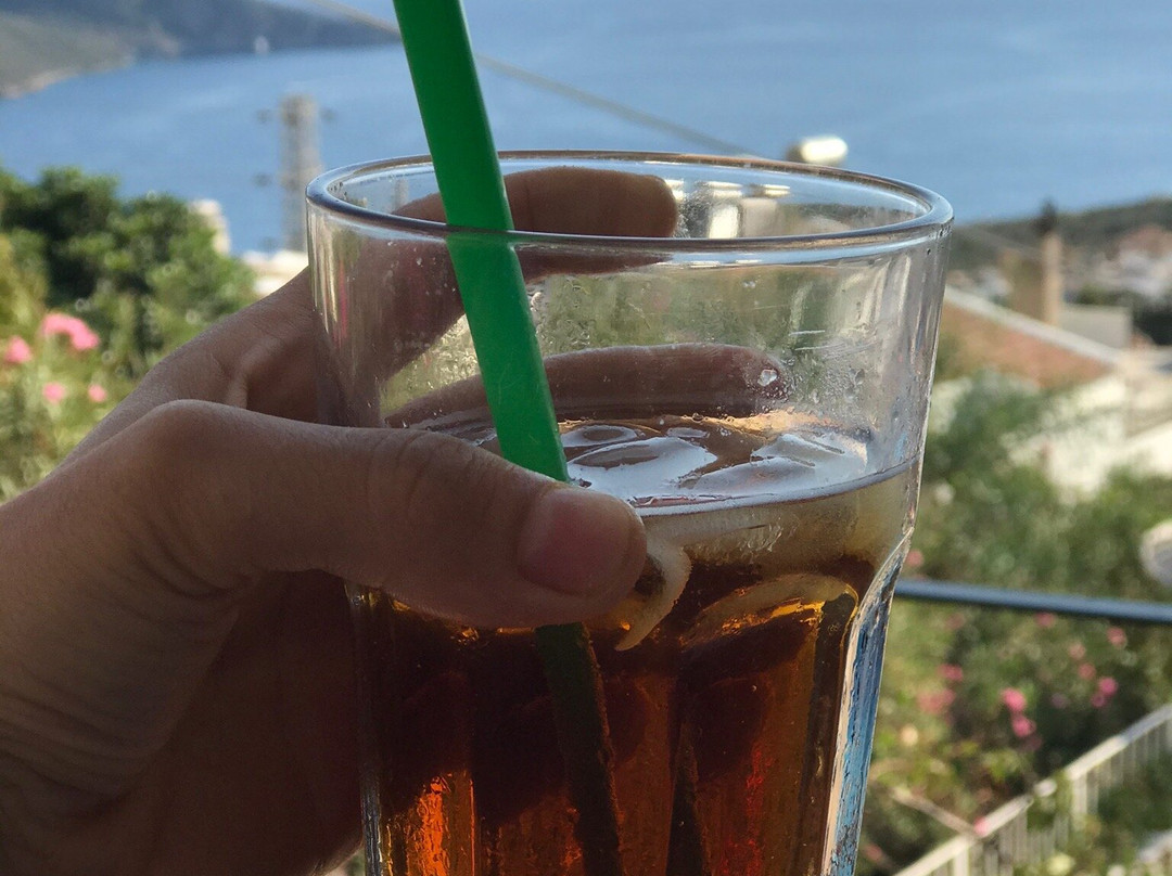 Lavender's Lodge Hotel主图