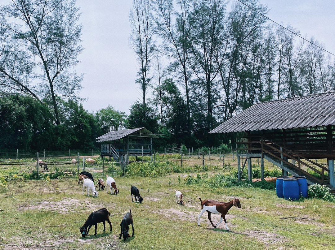 Dok Krai Reservoir-匹他那尼可必去景点
